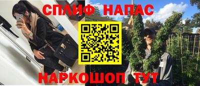 a pvp Славгород